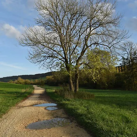 Maison A La Campagne Entre Nancy Et Pont-a-mousson